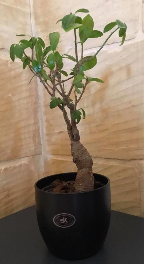 Ta Marie Merhba Zebbug  Ngoại thất bức ảnh